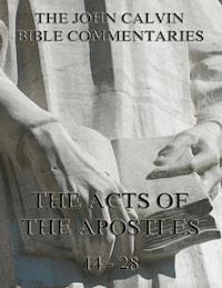 John Calvin's Commentaries On The Acts Vol. 2 - John Calvin - ebook