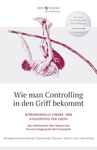 Wie man Controlling in den Griff bekommt - Ines Scholz - ebook