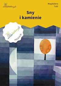Sny i kamienie - Magdalena Tulli - ebook