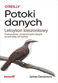 Potoki danych Leksykon kieszonkowy - Densmore James - książka