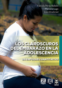 Los claroscuros del embarazo en la adolescencia. Un enfoque cuantitativo -  - ebook