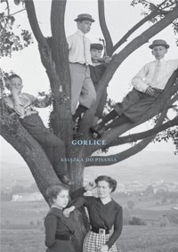 Gorlice. Książka do pisania - Janusz Sepioł - książka
