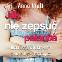 Jak nie zepsuć palanta - Craft Anna - ebook + audiobook + książka