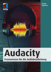 Audacity - Brigitte Hagedorn - ebook