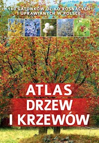 Atlas drzew i krzewów - Halarewicz Aleksandra - książka