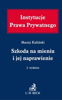 Szkoda na mieniu i jej naprawienie - Maciej Kaliński - książka