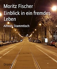 Einblick in ein fremdes Leben - Moritz Fischer - ebook