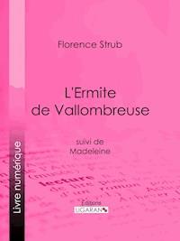 L'Ermite de Vallombreuse - Ligaran - ebook