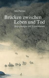 Brücken zwischen Leben und Tod - Iris Paxino - ebook