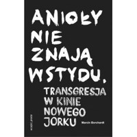 Anioły nie znają wstydu -  - książka