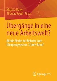 Übergänge in eine neue Arbeitswelt? -  - ebook