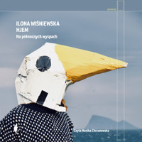 Hjem. Na północnych wyspach - Ilona Wiśniewska - ebook + audiobook