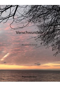 Verschwunden - Annemarie Ganal - ebook