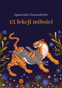 13 lekcji miłości - Passendorfer Agnieszka - ebook + audiobook + książka