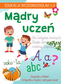 Mądry uczeń. EDUKACJA WCZESNOSZKOLNA 1-3 - Karolina Mazurek - książka