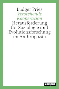 Verstehende Kooperation - Ludger Pries - ebook