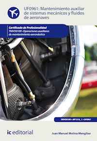 Mantenimiento auxiliar de sistemas mecánicos y fluidos de aeronaves. TMVO0109 - Juan Manuel Molina Mengíbar - ebook