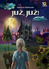 Już, już! - Wasilkowska Katarzyna - książka