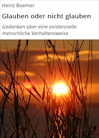 Glauben oder nicht glauben - Heinz Boemer - ebook