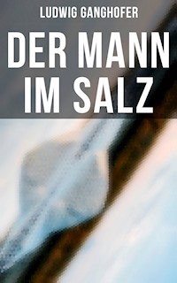 Der Mann im Salz - Ludwig Ganghofer - ebook