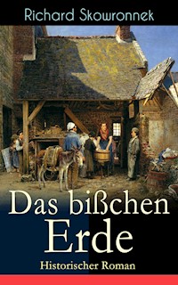 Das bißchen Erde (Historischer Roman) - Richard Skowronnek - ebook