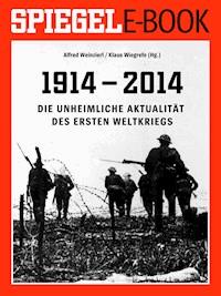 1914 - 2014 - Die unheimliche Aktualität des Ersten Weltkriegs - Alfred Weinzierl - ebook