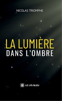 La lumière dans l’ombre - Nicolas Triomphe - ebook