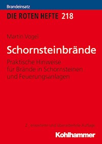 Schornsteinbrände - Martin Vogel - ebook