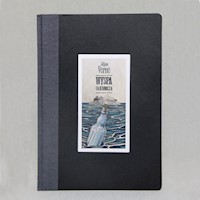 Tajemnicza wyspa - Juliusz Verne - ebook + książka