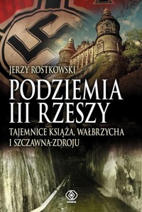 Podziemia III Rzeszy - Rostkowski Jerzy - książka