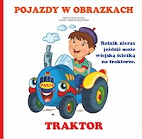 Pojazdy w obrazkach - Zofia Kaliska - książka