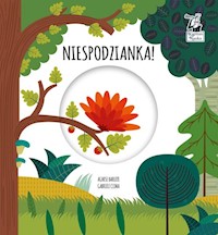 Niespodzianka Magiczne koło Kapitan Nauka - Baruzzi Agnese, Clima Gabriele - książka