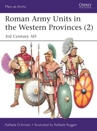 Roman Army Units in the Western Provinces (2) - DAmato Raffaele - książka