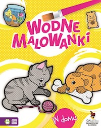 W domu Wodne malowanki -  - książka