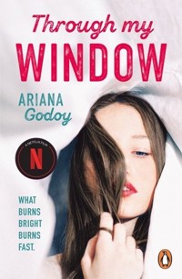 Through My Window - Godoy Ariana - książka