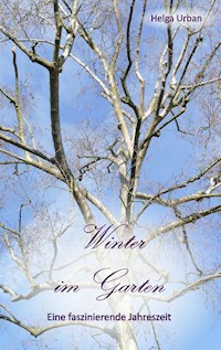 Winter im Garten - Helga Urban - ebook
