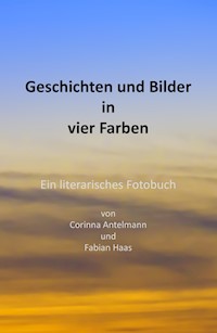 Geschichten und Bilder in vier Farben - Corinna Antelmann - ebook