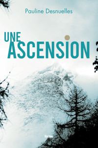 Une Ascension - Pauline Desnuelles - ebook