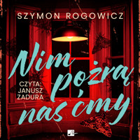 Nim pożrą nas ćmy - Rogowicz Szymon - audiobook + książka