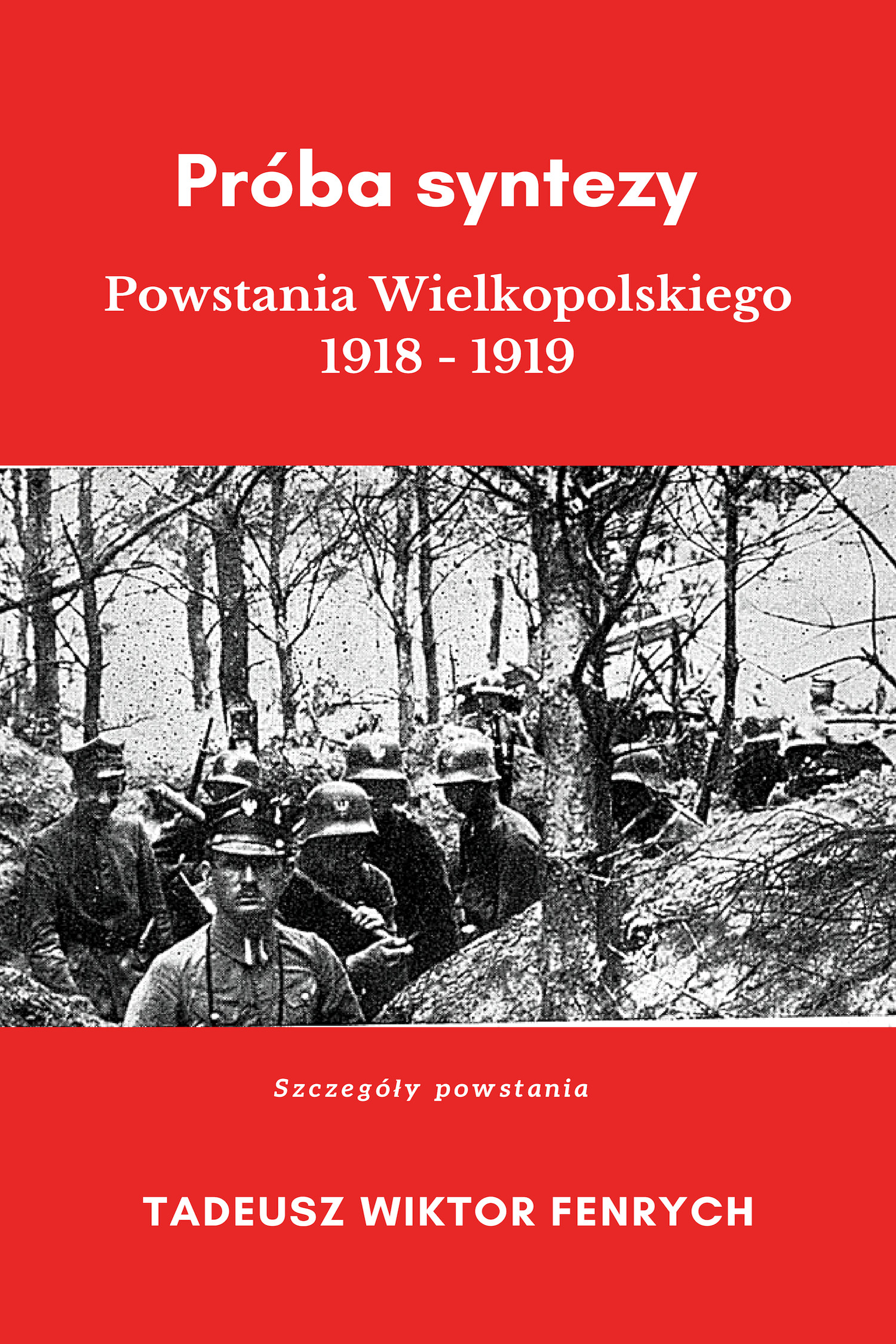 Okładka:Próba syntezy Powstania Wielkopolskiego 1918-19 