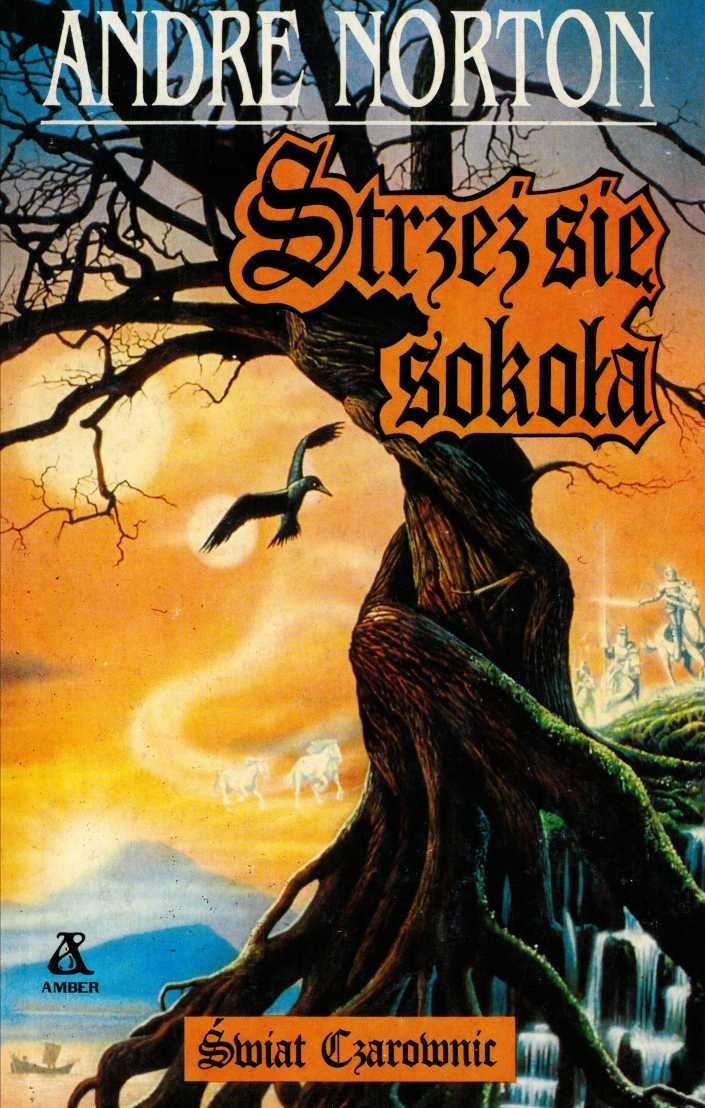 Świat Czarownic. Strzeż się sokoła