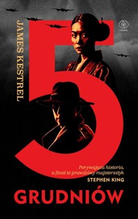 5 grudniów - Kestrel James - ebook + audiobook + książka