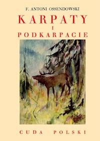 Karpaty i Podkarpacie - Ossendowski Antoni Ferdynand - książka