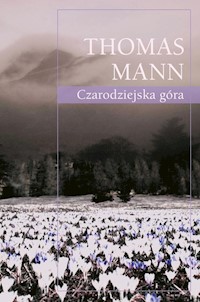 Czarodziejska góra - Thomas Mann - ebook + audiobook + książka