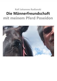 Die Männerfreundschaft mit meinem Pferd Poseidon - Ralf Johannes Radlanski - ebook