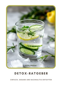 Detox-Ratgeber - Felix Mahler - ebook