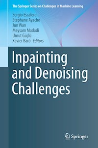 Inpainting and Denoising Challenges - - ebook