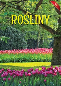 Encyklopedia Fakty Rośliny -  - książka