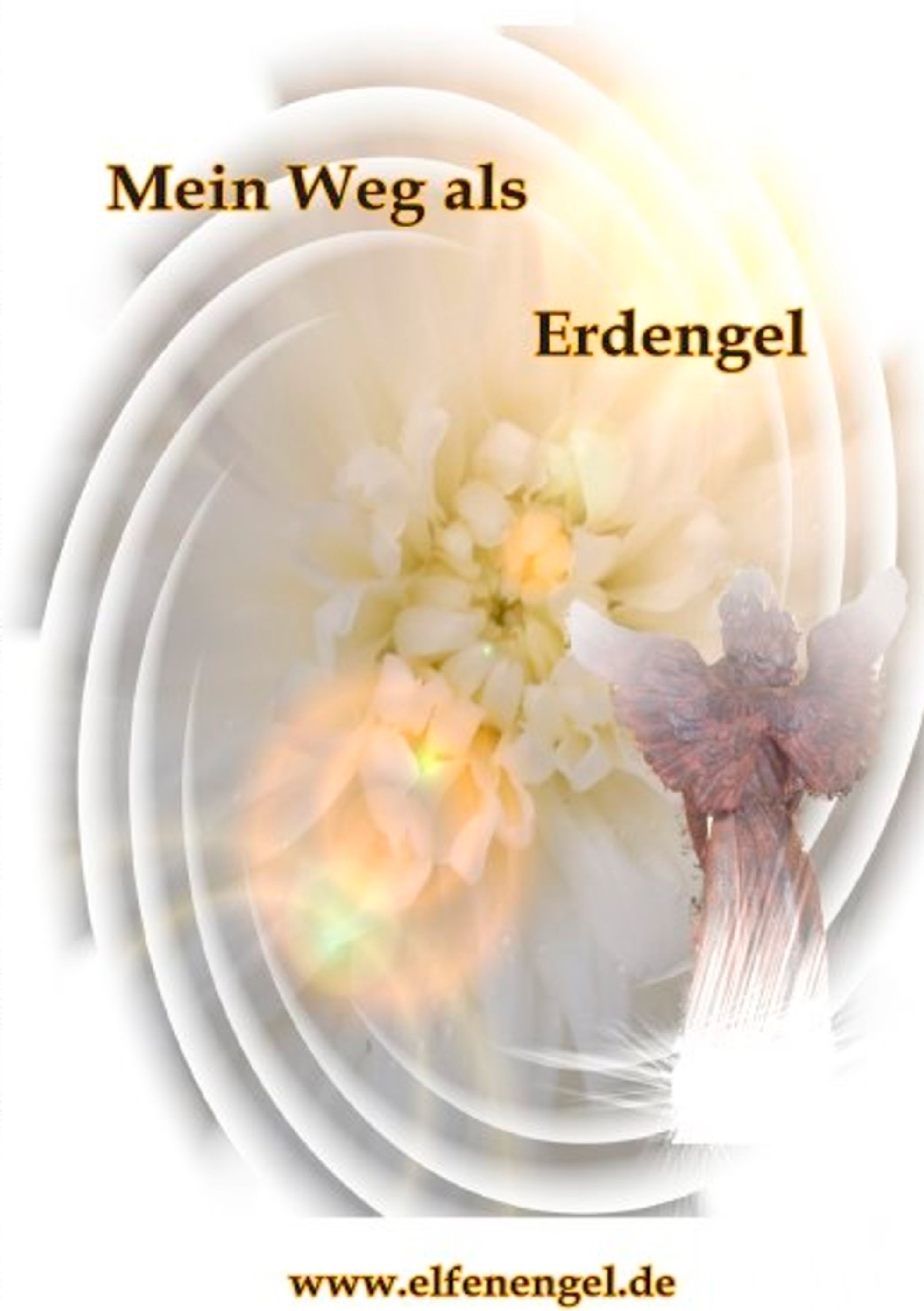 Mein Weg als Erdengel