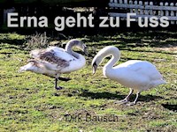 Erna geht zu Fuss - Dirk Bausch - ebook